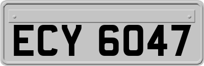 ECY6047