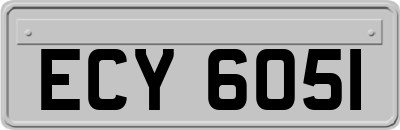 ECY6051