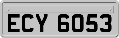 ECY6053
