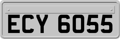 ECY6055