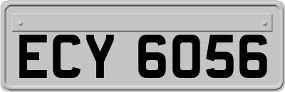 ECY6056
