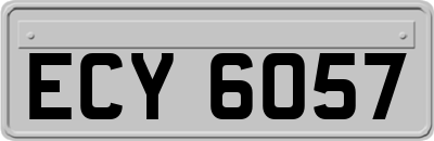 ECY6057