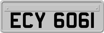 ECY6061