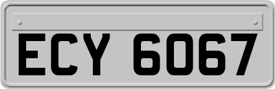ECY6067