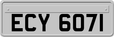 ECY6071