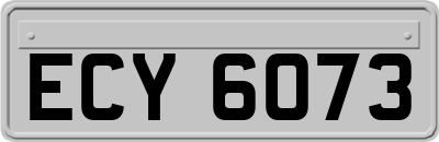 ECY6073