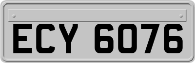 ECY6076