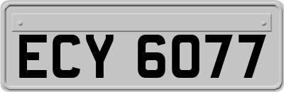 ECY6077