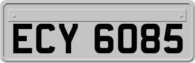 ECY6085