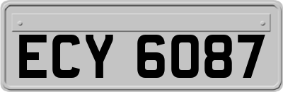 ECY6087