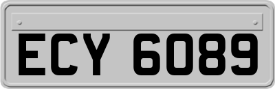 ECY6089
