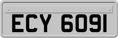 ECY6091