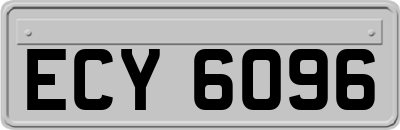 ECY6096