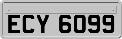 ECY6099