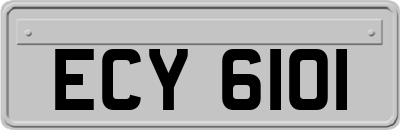 ECY6101