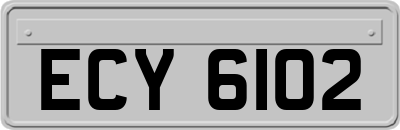 ECY6102
