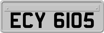 ECY6105