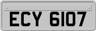 ECY6107