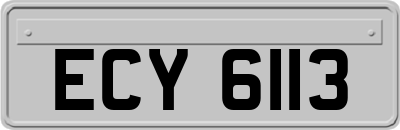 ECY6113