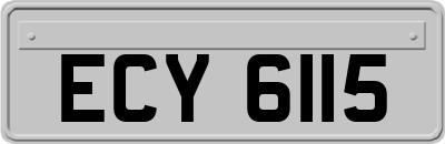 ECY6115