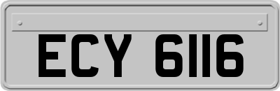 ECY6116