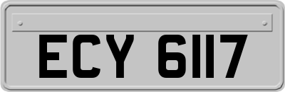 ECY6117