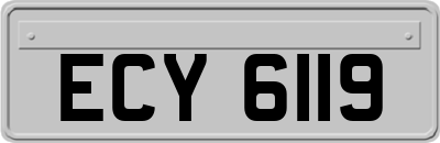 ECY6119