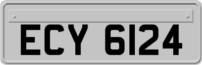 ECY6124