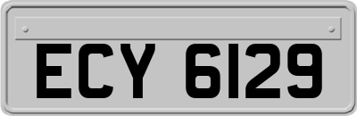 ECY6129