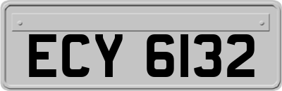 ECY6132