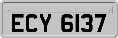ECY6137