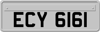 ECY6161