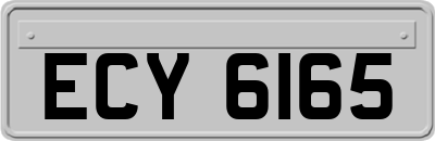 ECY6165