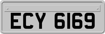 ECY6169
