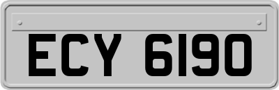 ECY6190