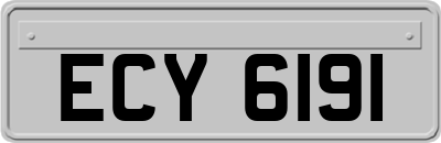 ECY6191