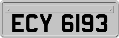 ECY6193