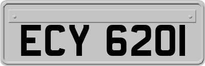 ECY6201