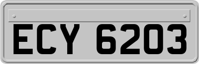 ECY6203