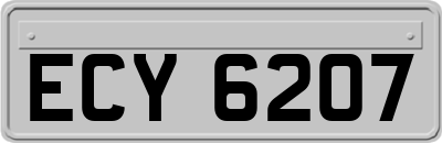 ECY6207