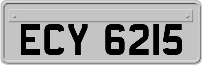 ECY6215