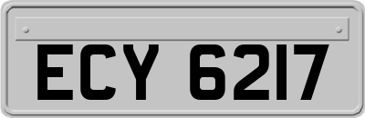 ECY6217