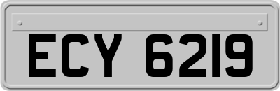ECY6219