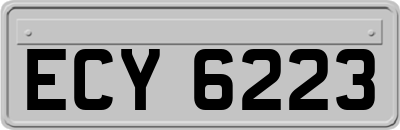 ECY6223