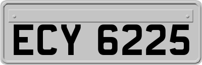 ECY6225