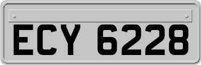 ECY6228