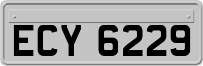 ECY6229