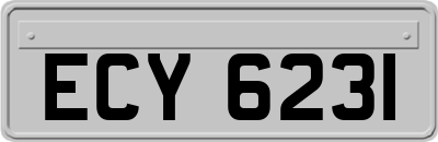 ECY6231
