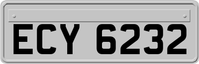 ECY6232