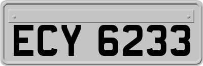 ECY6233